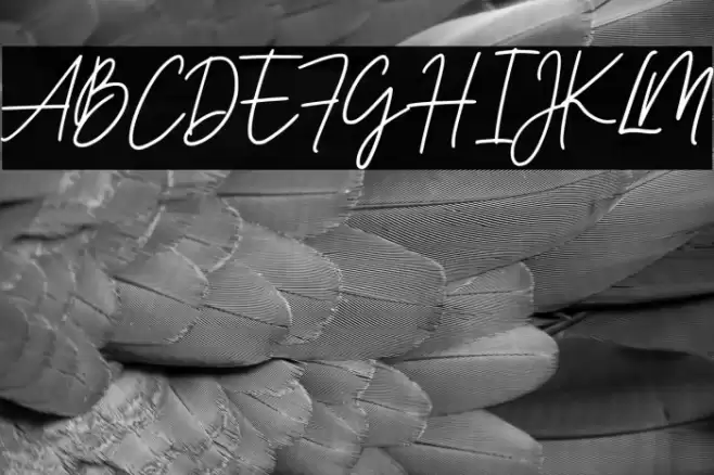 Owbeirak Script Demo Version Font examples