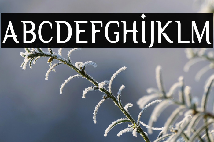 Owbeirak Serif Demo Version Example 2