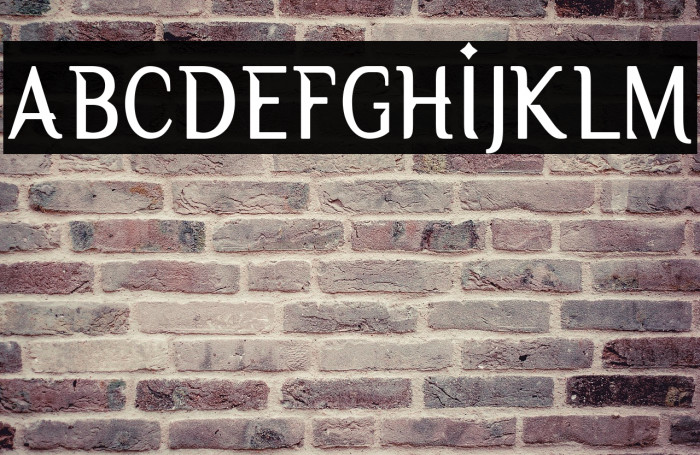 Owbeirak Serif Demo Version Example 3