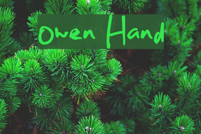 Owen Hand Font examples