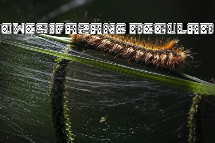 Owesifazane Regular Example 2