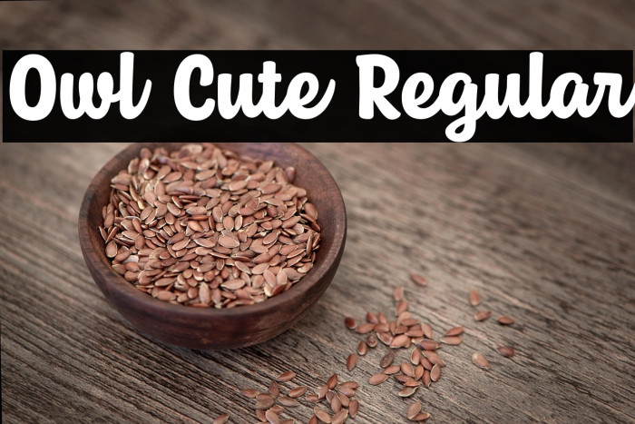 Owl Cute Regular Example 1