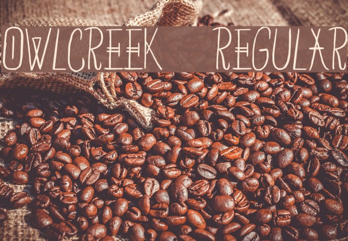 OwlCreek-Regular Font examples