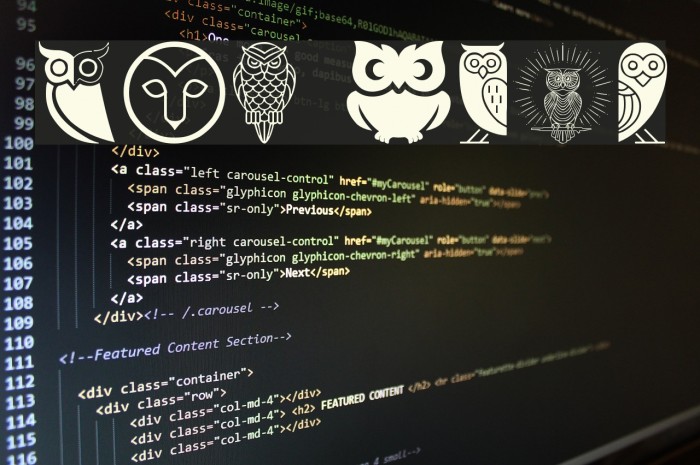 Owl Font examples