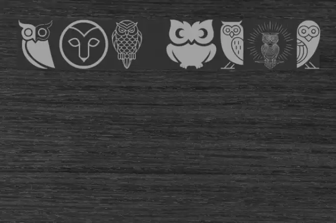 Owl Font examples