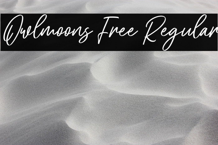 Owlmoons Free Regular Example 2