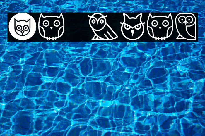 Owls Regular Font examples