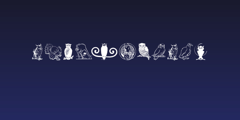 OwlsAndMore Social Header