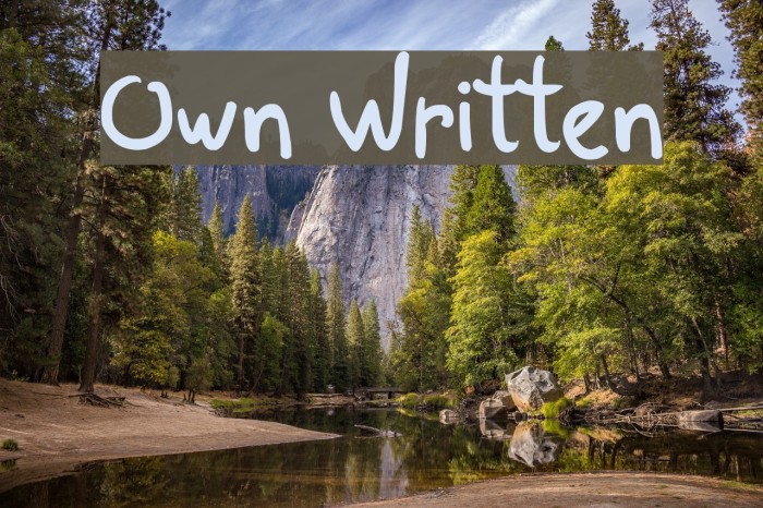 Own Written Font examples