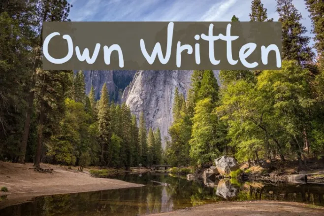 Own Written Example 3