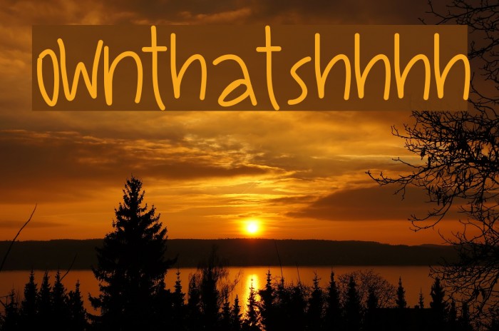 OwnThatShhhh Font examples