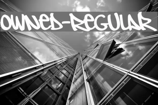 Owned-Regular Font examples