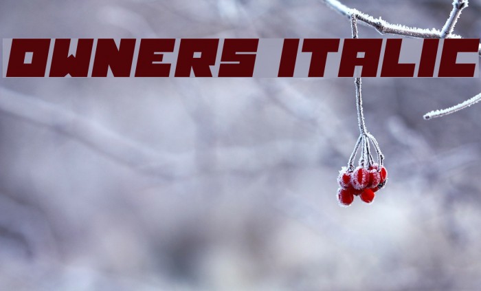 Owners Italic Example 1