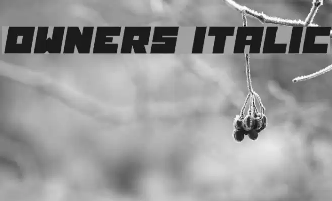 Owners Italic Font examples