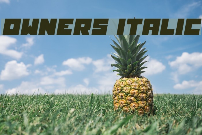 Owners Italic Example 2