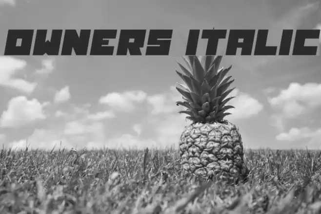 Owners Italic Font examples