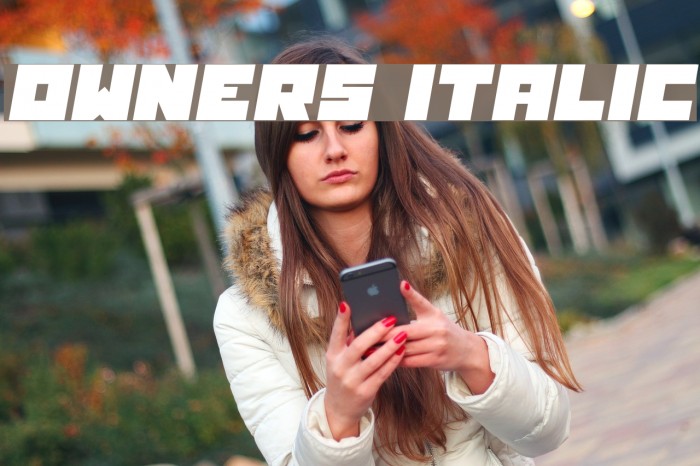 Owners Italic Example 3