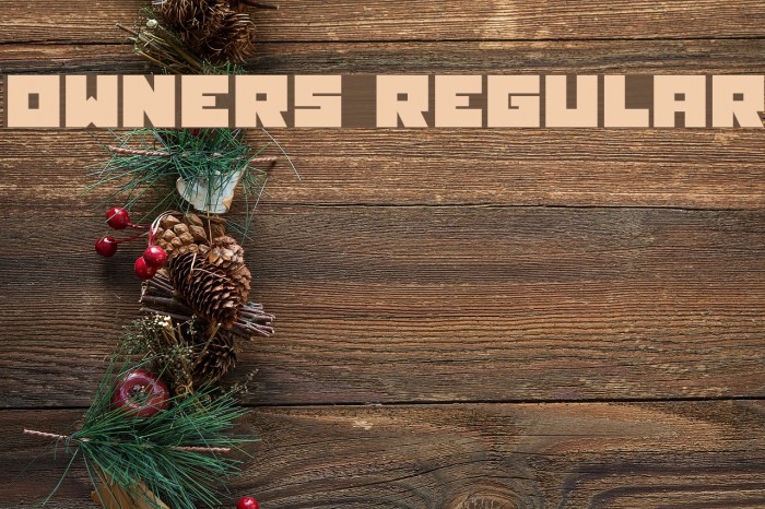 Owners Regular Example 1