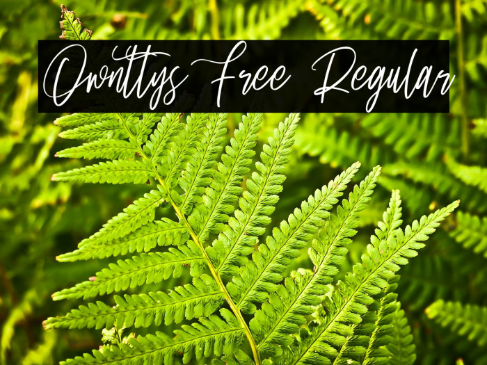 Ownttys Free Regular Example 2