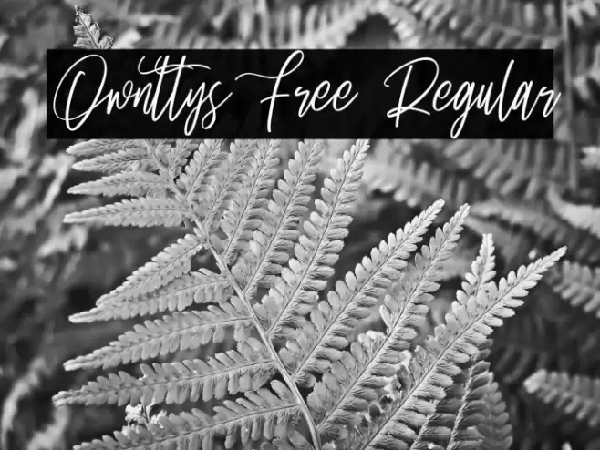 Ownttys Free Regular フォント examples
