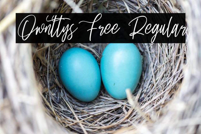 Ownttys Free Regular Example 3