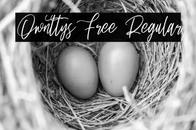Ownttys Free Regular フォント examples