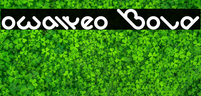 owaikeo Bold Example 1