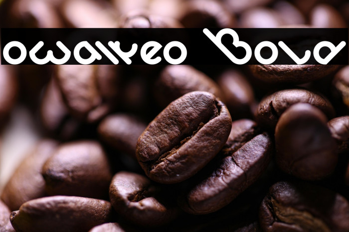 owaikeo Bold Example 3