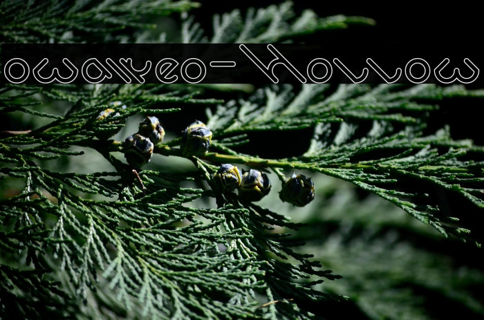 owaikeo-Hollow Example 2