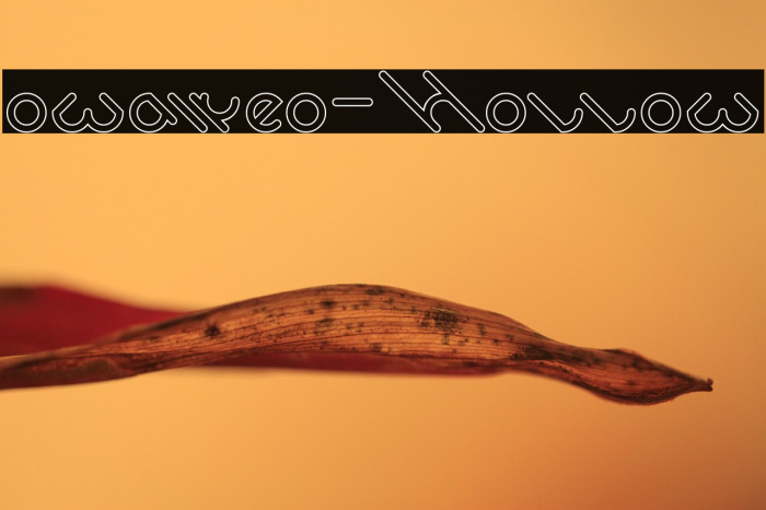 owaikeo-Hollow Example 3