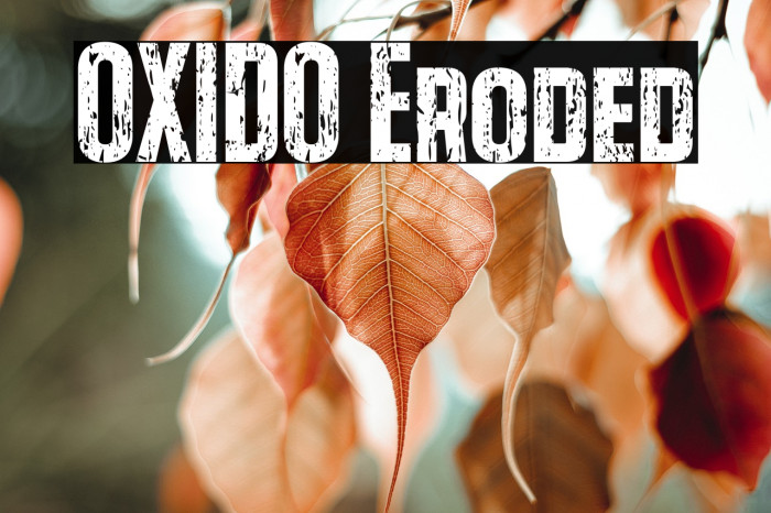 OXIDO Eroded Example 1