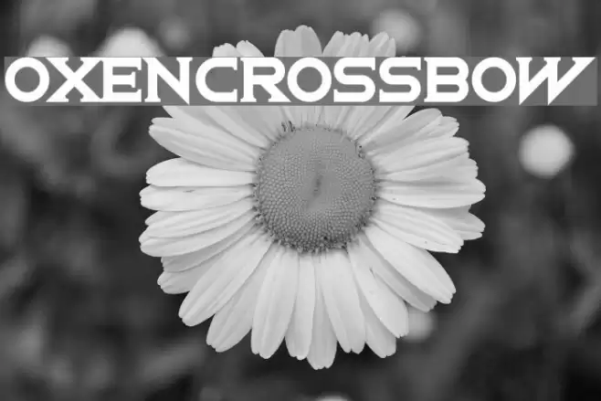 OxenCrossbow Font examples