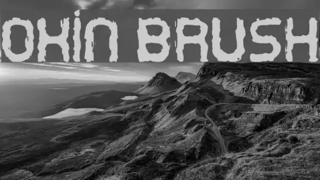 Oxin Brush Font examples