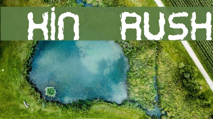 Oxin Brush Fuentes examples