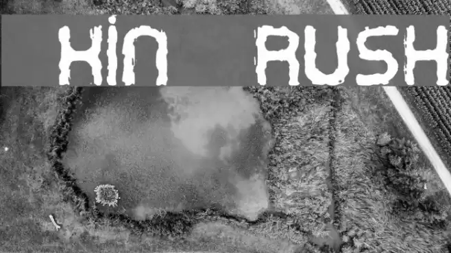 Oxin Brush フォント examples
