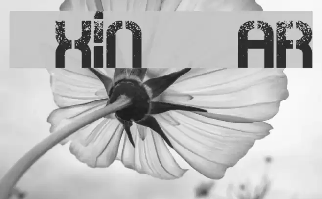 Oxin War Font examples