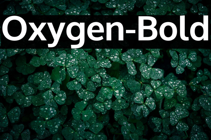 Oxygen-Bold Example 3