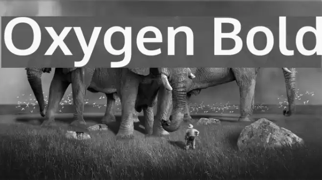 Oxygen Bold Font examples
