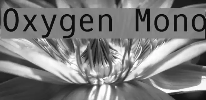 Oxygen Mono Font examples