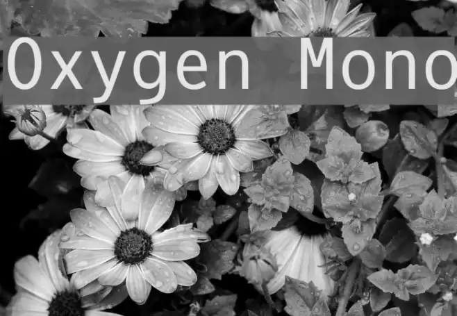 Oxygen Mono Font examples
