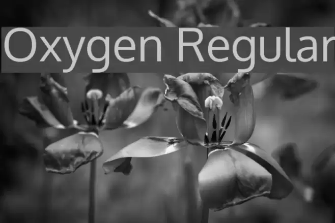 Oxygen Regular Font examples