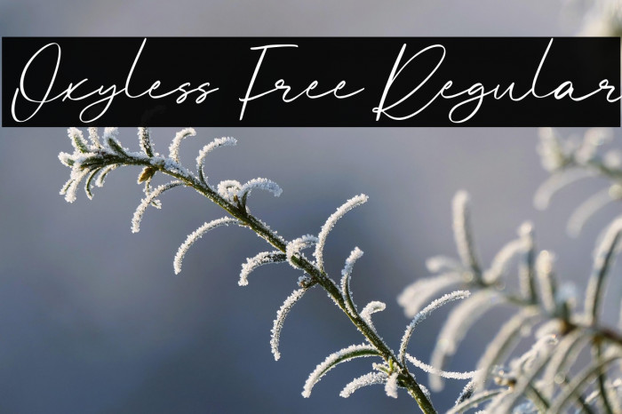 Oxyless Free Regular Example 1