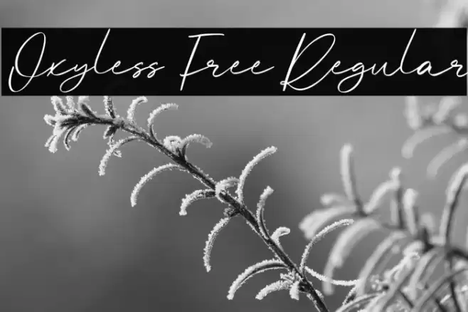 Oxyless Free Regular Font examples