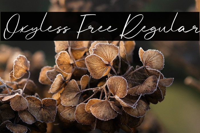 Oxyless Free Regular Example 2