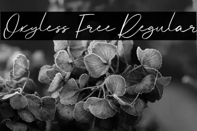 Oxyless Free Regular Font examples