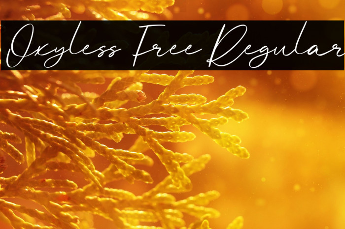 Oxyless Free Regular Example 3