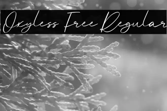 Oxyless Free Regular Font examples