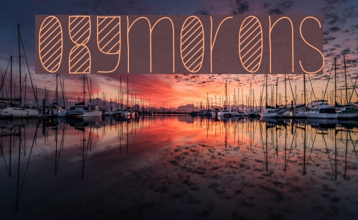Oxymorons Example 3