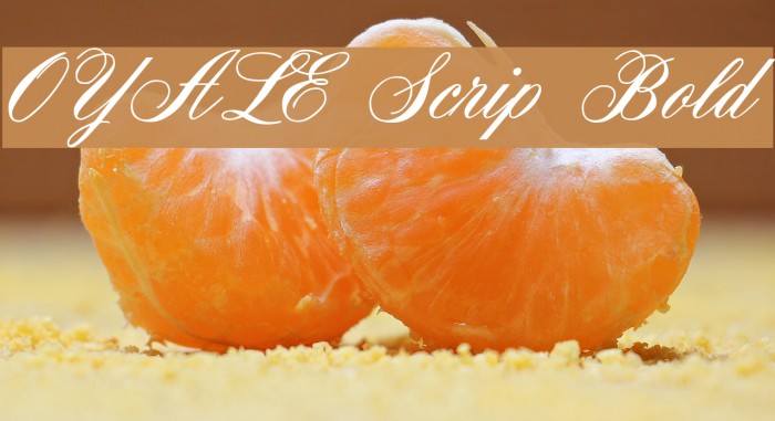 OYALE Scrip Bold Font examples