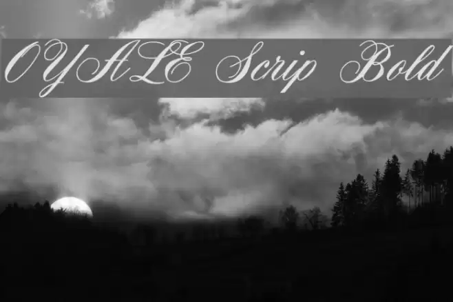 OYALE Scrip Bold Font examples